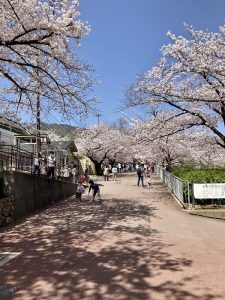 王子動物園 神戸の注文住宅 木の家 自然素材で新築一戸建てならパルステージ